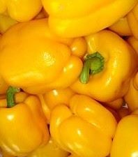Poivron jaune doux